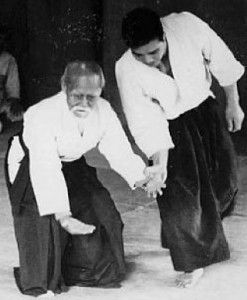 aikido1 (Mobile)