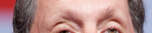 Larry_Ellison_eyebrows picture